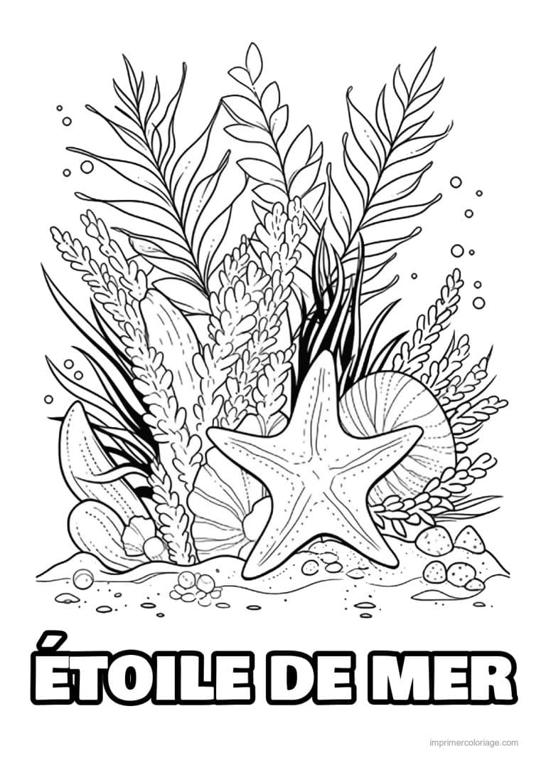 coloriage etoile de mer devant algues et coquillage - dessin gratuit &agrave; imprimer