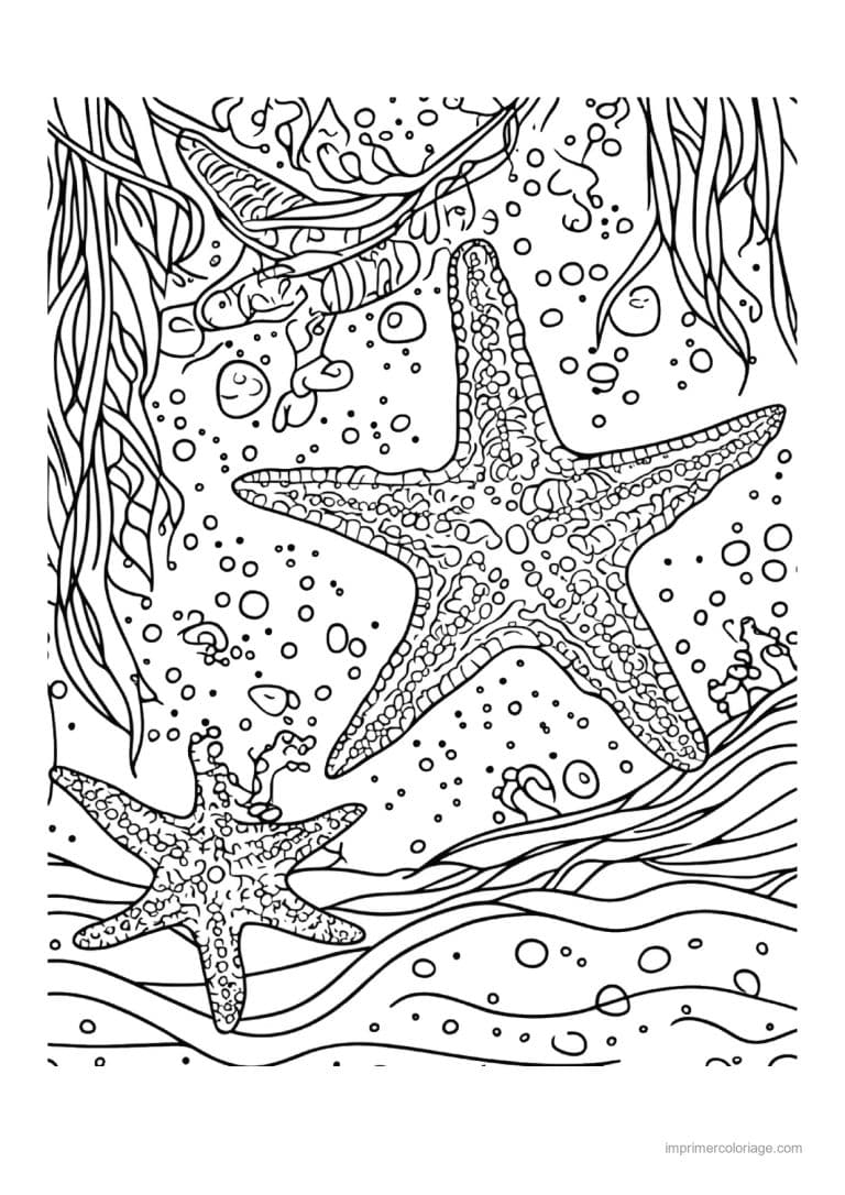 coloriage etoile de mer grande et petite dans les bulles - dessin gratuit &agrave; imprimer