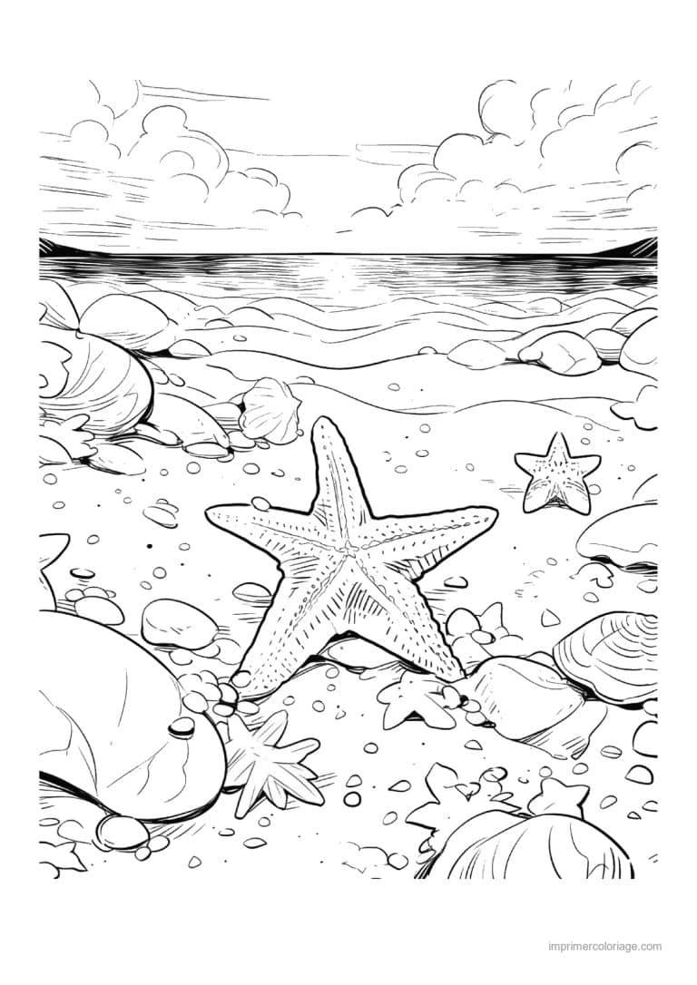 coloriage etoile de mer sur le sable face a la mer - dessin gratuit &agrave; imprimer