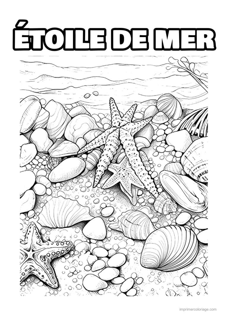 coloriage etoile de mer sur les galets et coquillages - dessin gratuit &agrave; imprimer