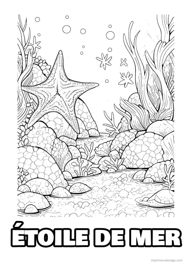 coloriage etoile de mer sur un rocher sous l eau - dessin gratuit &agrave; imprimer