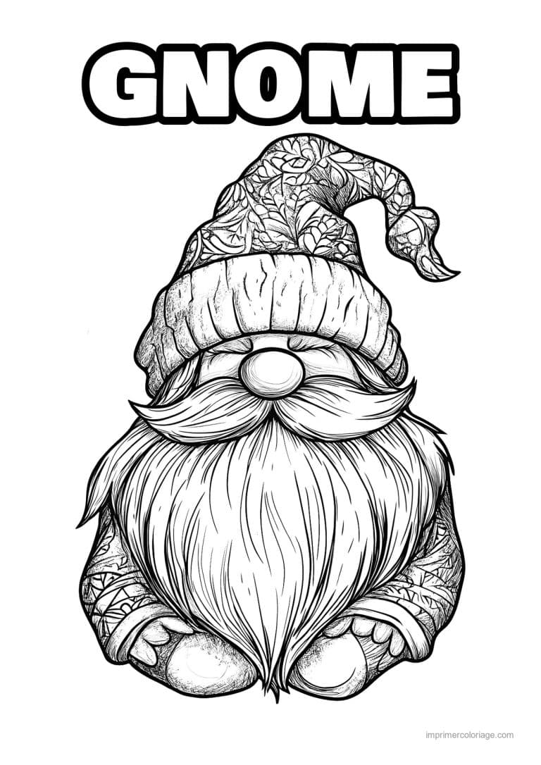 coloriage gnome gnome bonnet motifs grosse barbe 2 - dessin gratuit &agrave; imprimer