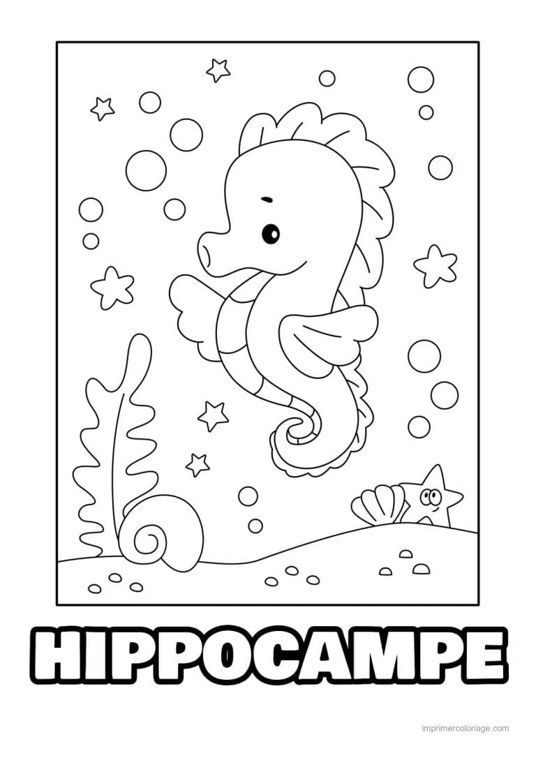 coloriage hippocampe coquillage et etoile de mer - dessin gratuit &agrave; imprimer