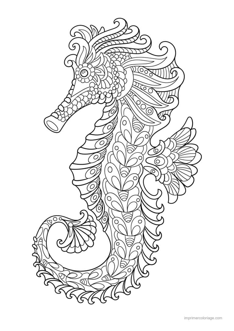coloriage hippocampe zentangle plumes et volutes - dessin gratuit &agrave; imprimer