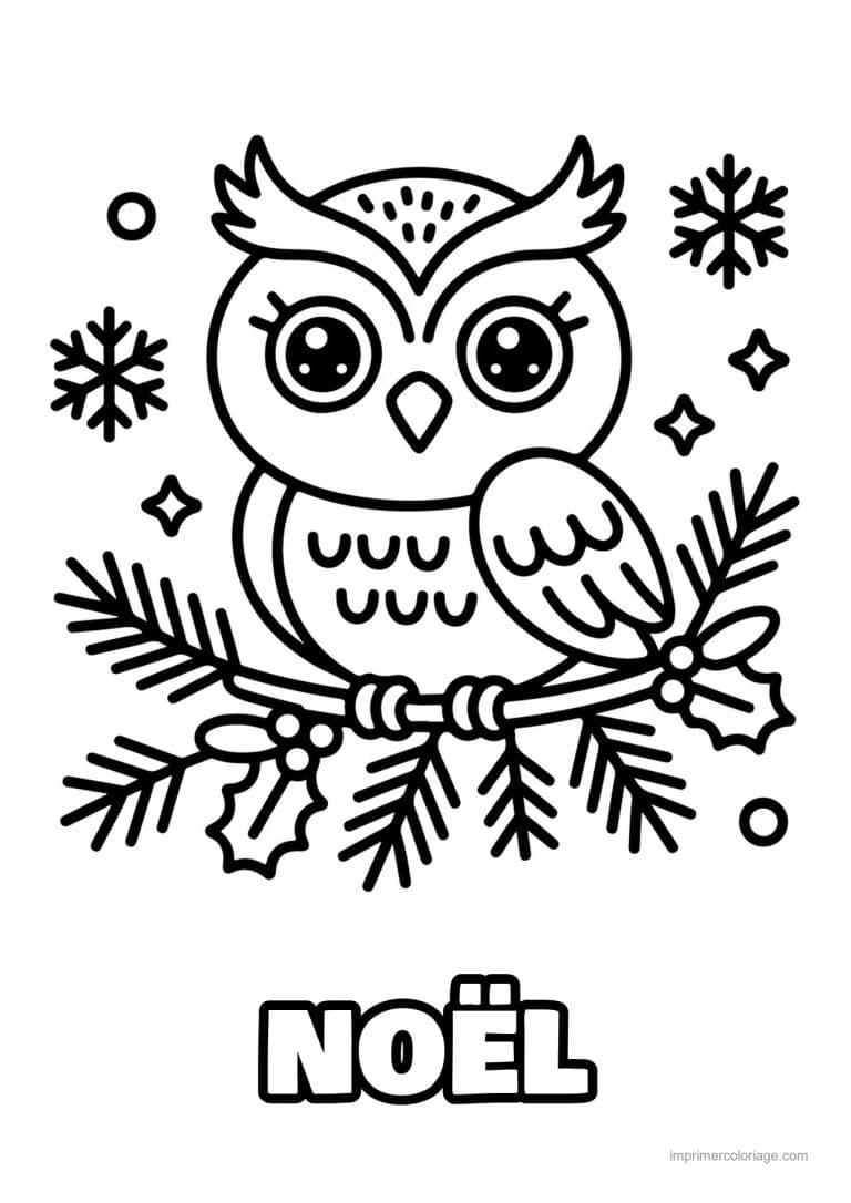 coloriage kawaii noel hibou branche sapin houx flocons - dessin gratuit &agrave; imprimer