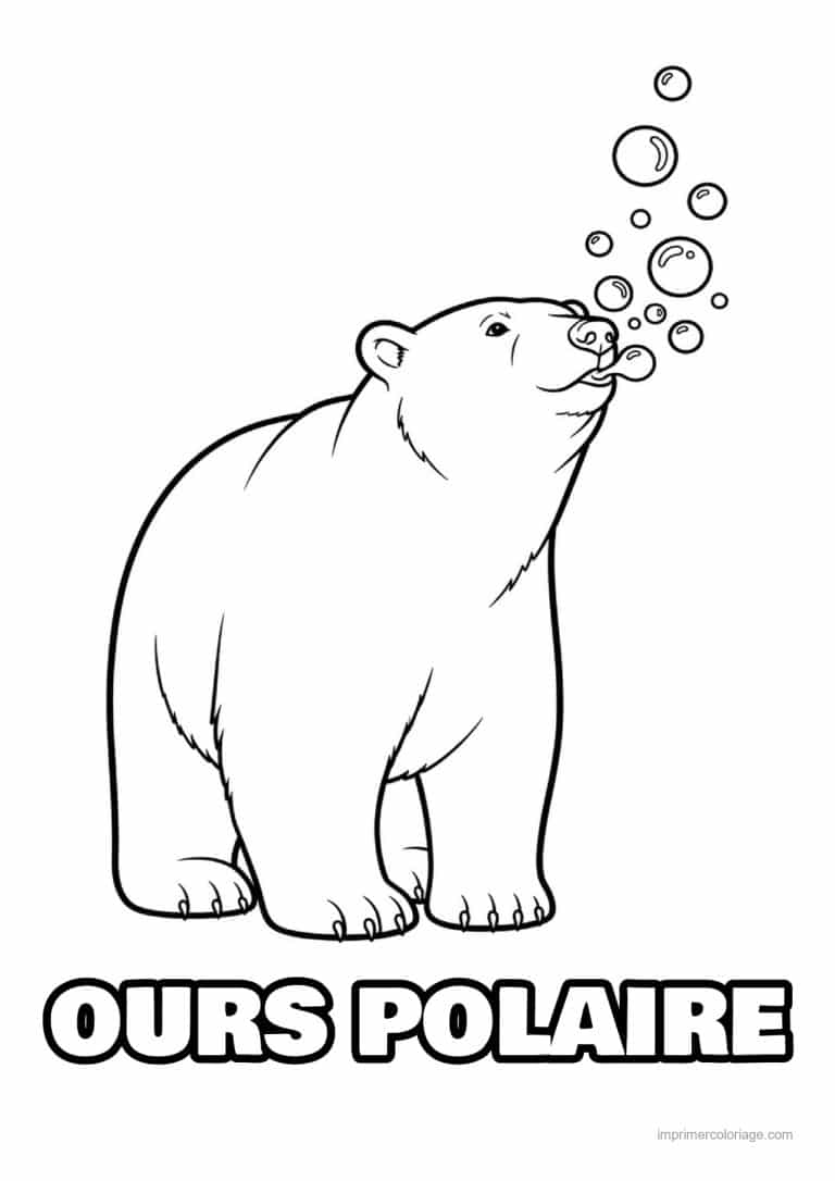 coloriage ours polaire ours blanc soufflant bulles - dessin gratuit &agrave; imprimer