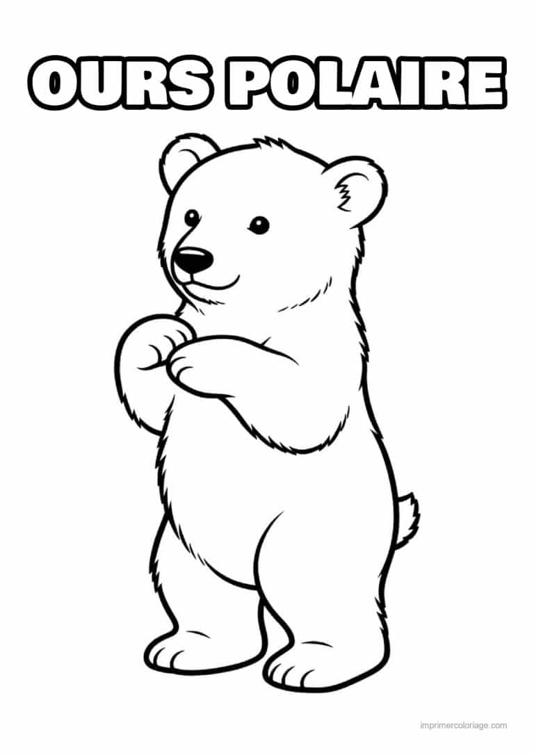 coloriage ours polaire ourson blanc debout profil - dessin gratuit &agrave; imprimer