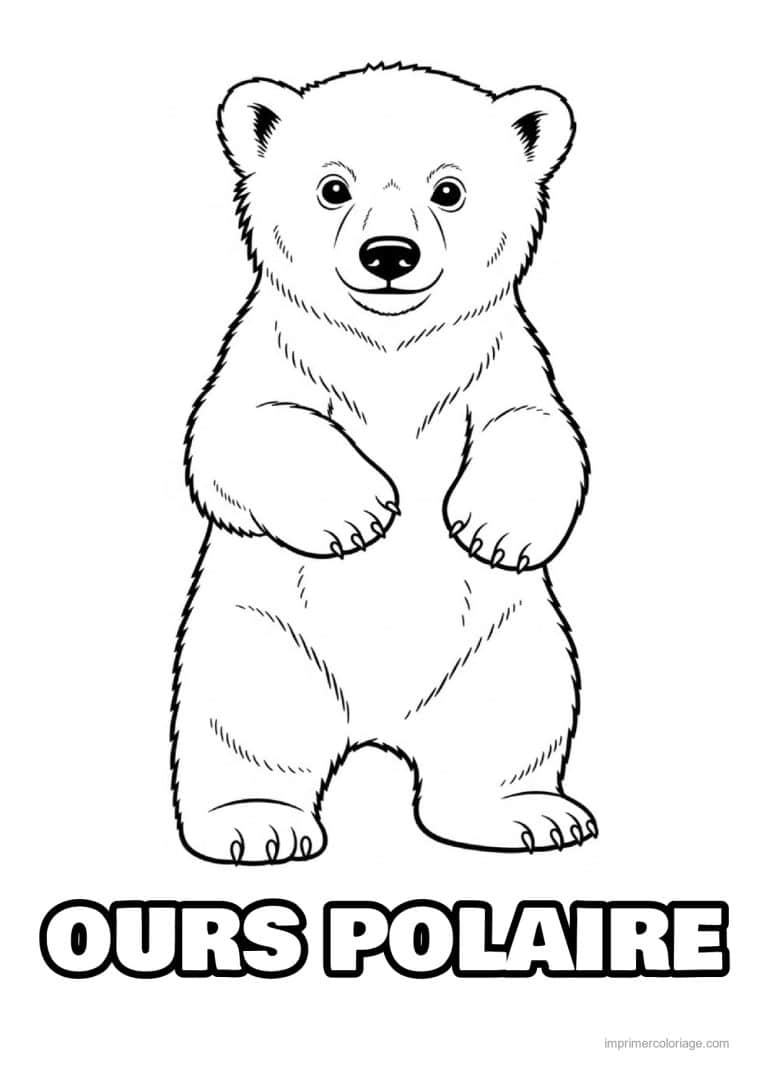 coloriage ours polaire ourson debout face - dessin gratuit &agrave; imprimer