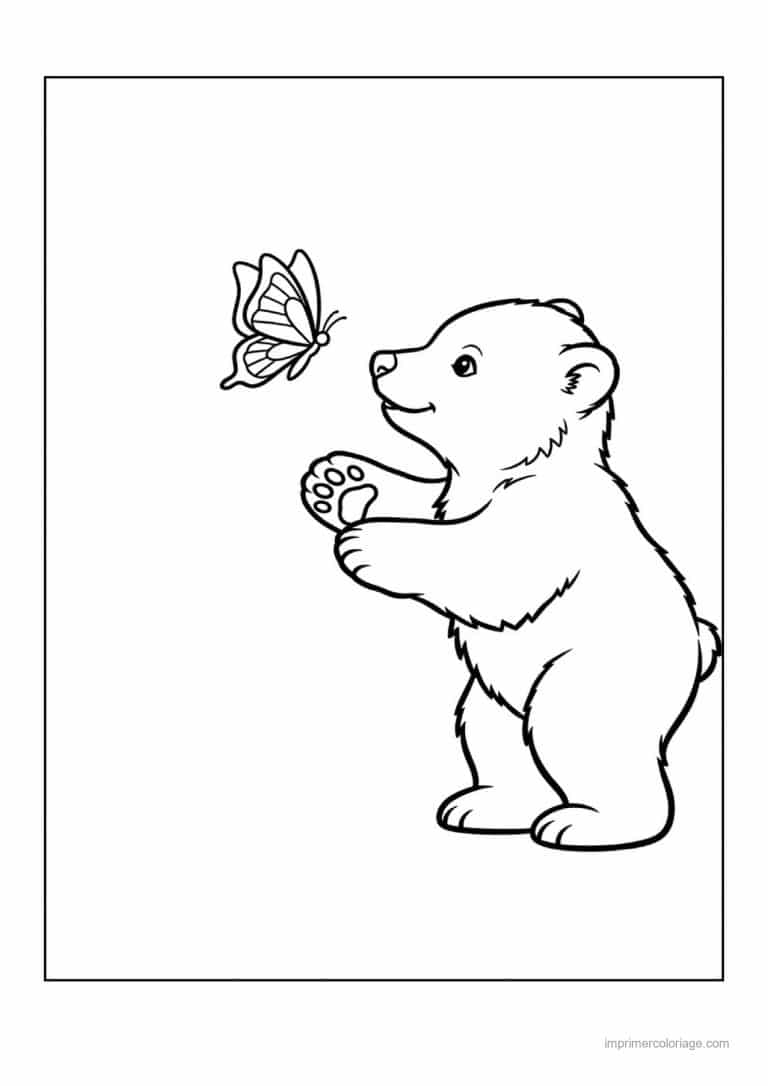 coloriage ours polaire ourson papillon - dessin gratuit &agrave; imprimer