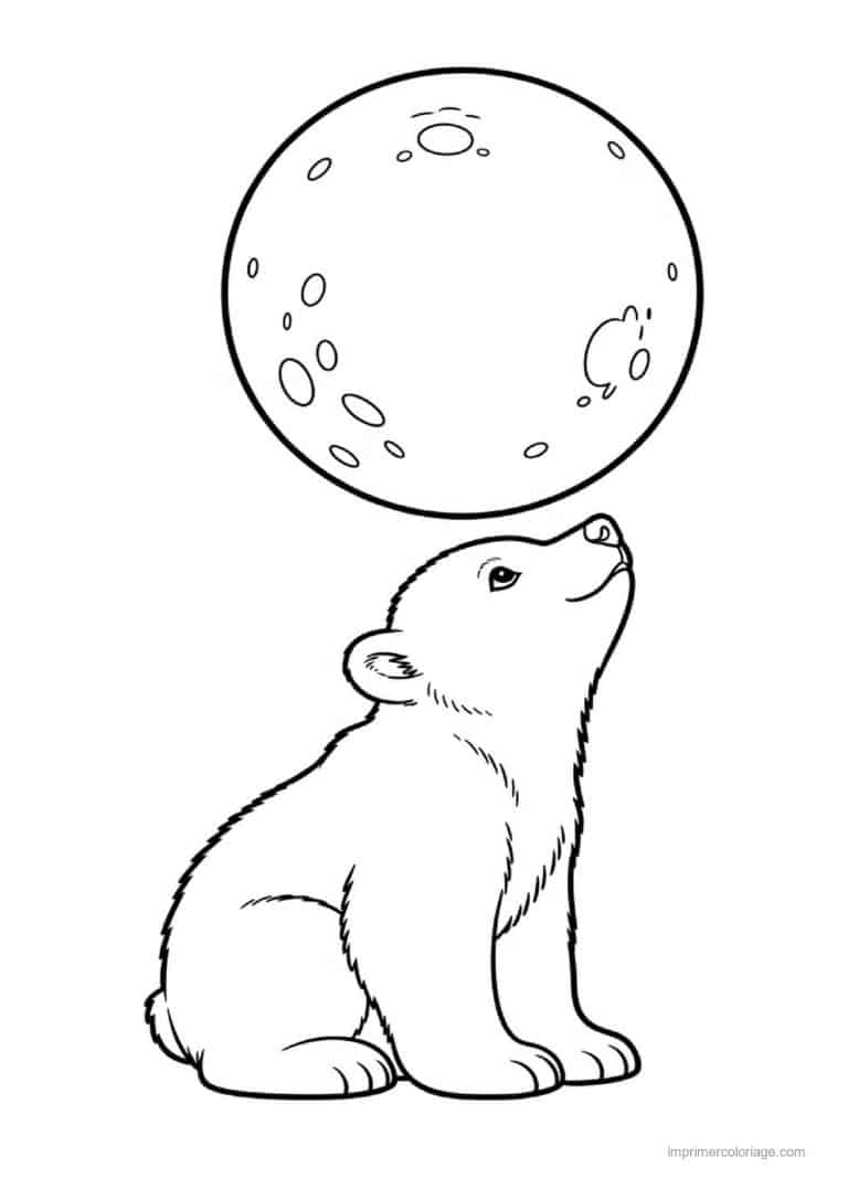 coloriage ours polaire ourson regardant lune - dessin gratuit &agrave; imprimer
