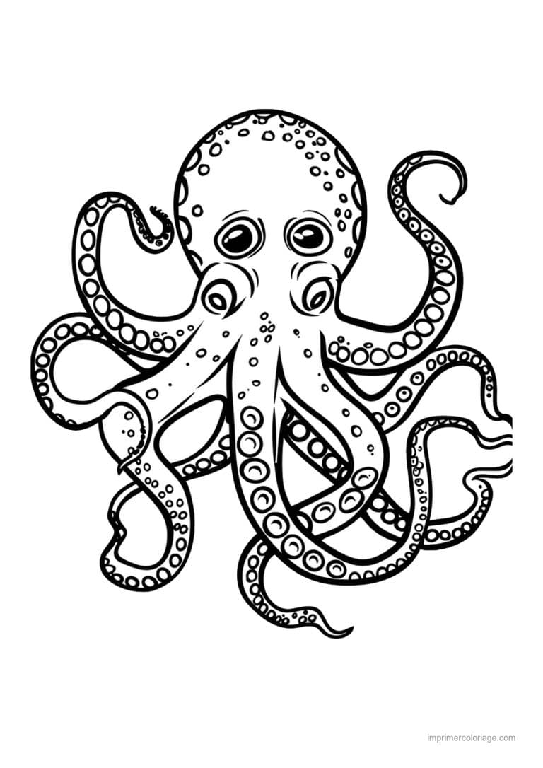 coloriage pieuvre tentacules entrelaces - dessin gratuit &agrave; imprimer